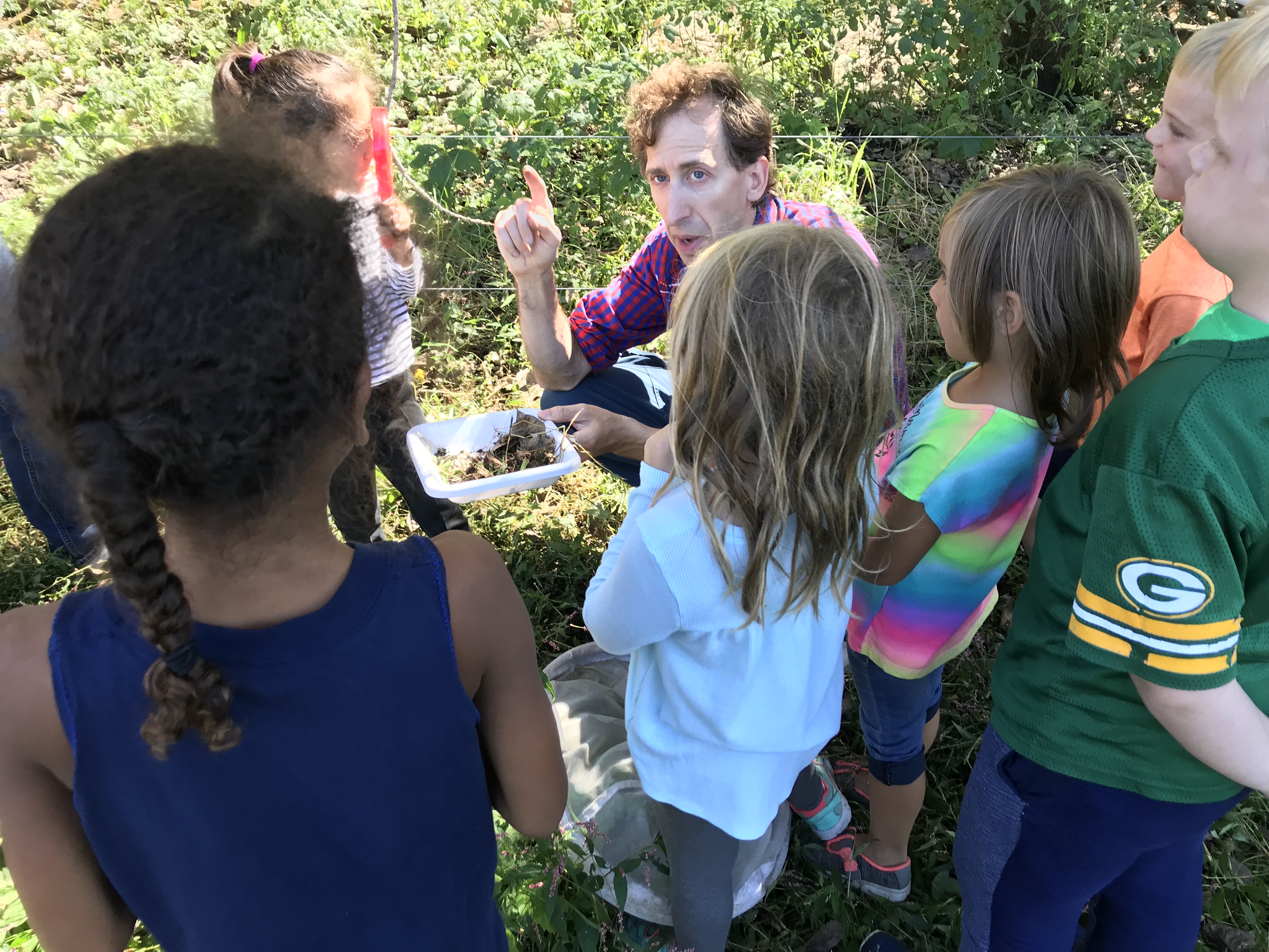 Kids learn about a specific kind of bug