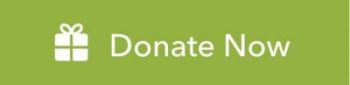 247-2472128_green-donate-now-button