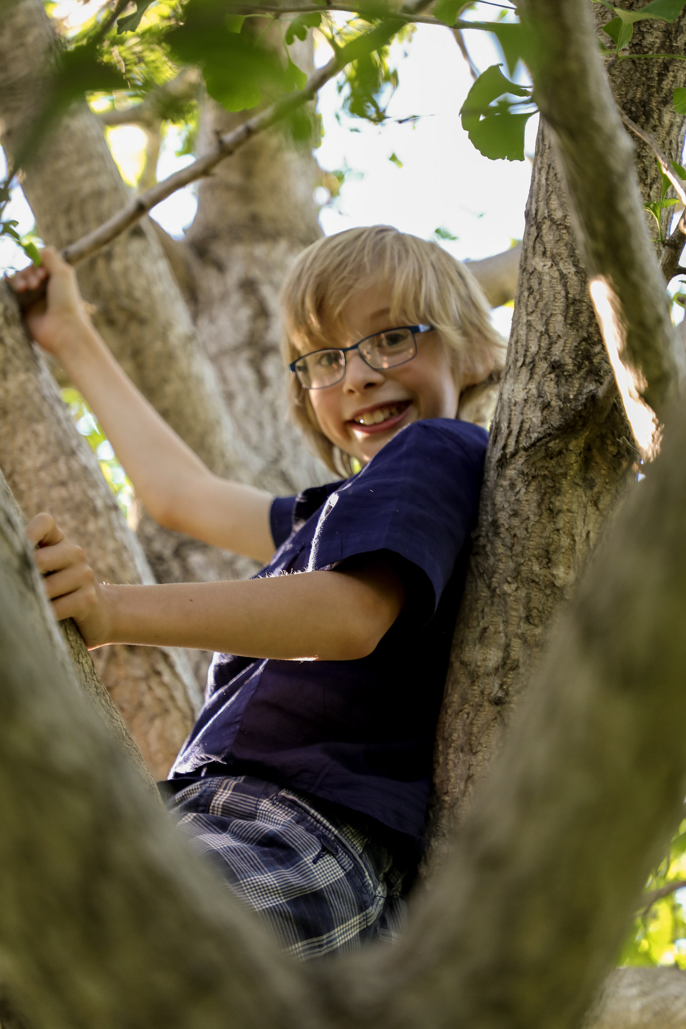 boy in tree