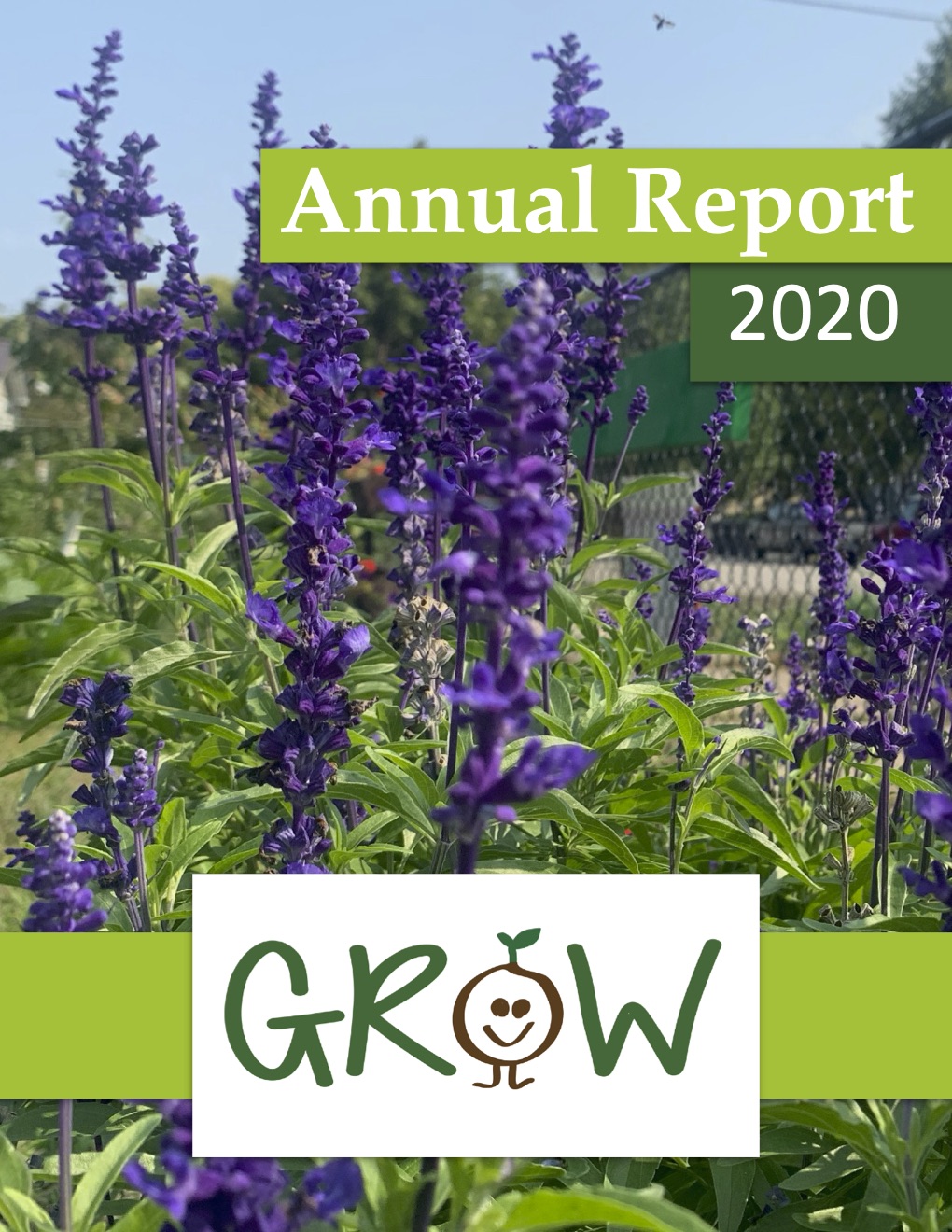 Annual Report 2020 pg.1