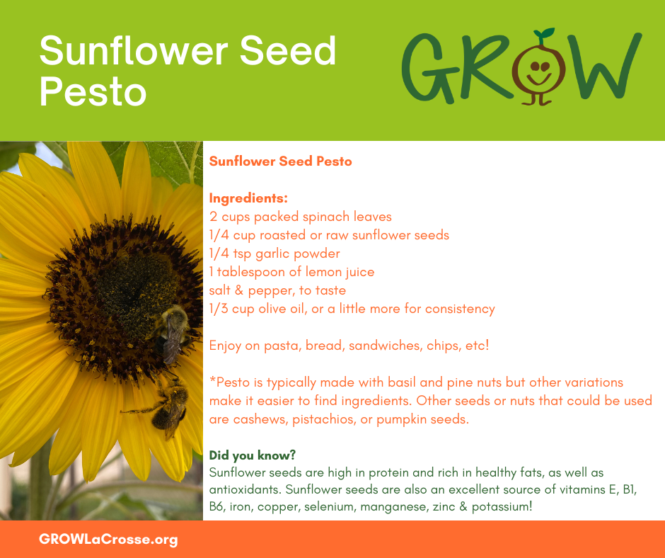 Sunflower Seed Pesto