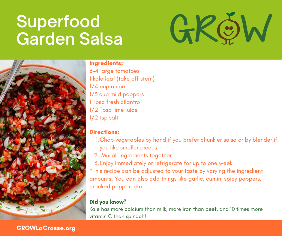 Superfood Garden Salsa (3)