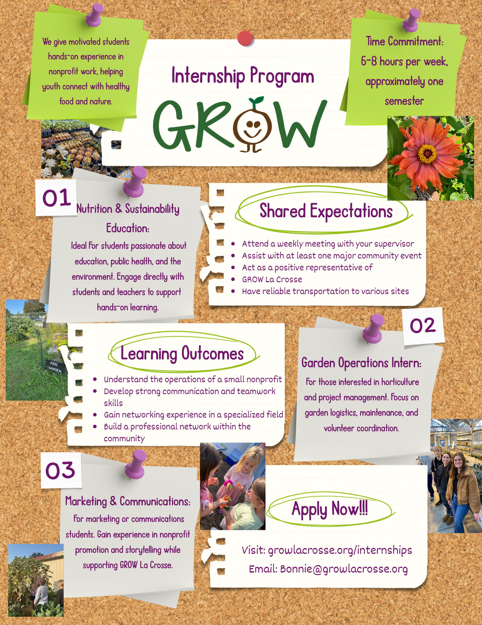 Internship Promo Sheet